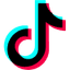 TikTok Ads