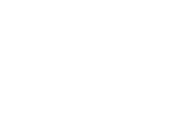Google Partner badge