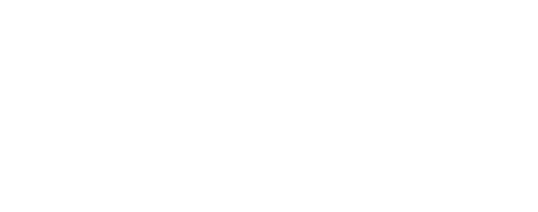 Meta Business Partner badge